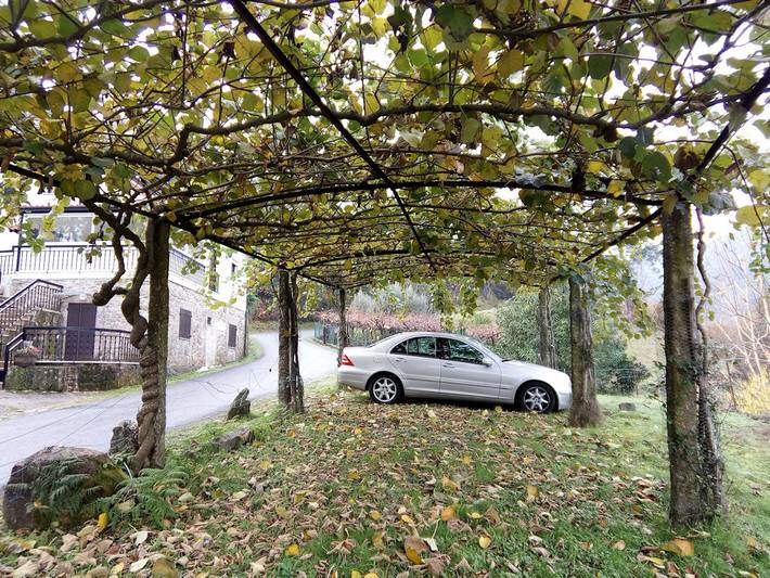 Casa de huéspedes para 6 personas, con terraza y jardín en Arcos de Valdevez - 4