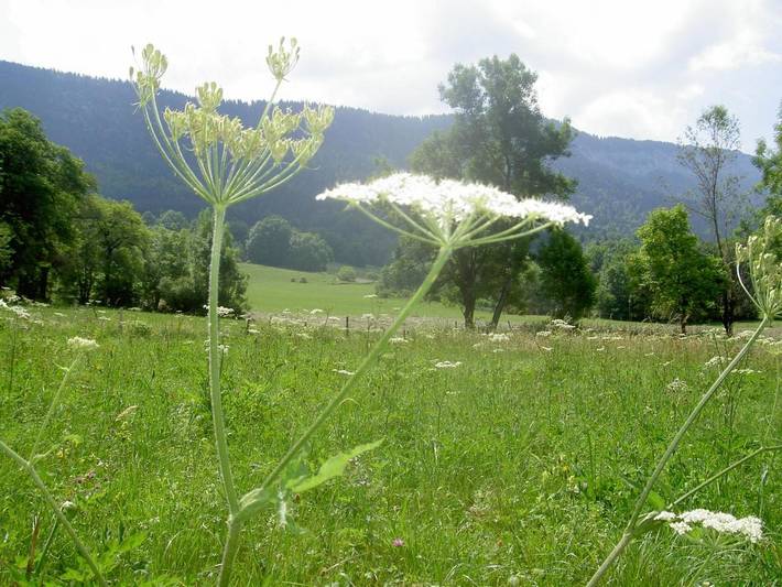 Location de vacances pour 4 personnes, avec vue et jardin à Le Noyer - 2