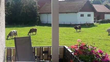Ferienwohnung für 3 Personen in Peiting, Pfaffenwinkel, Bild 4