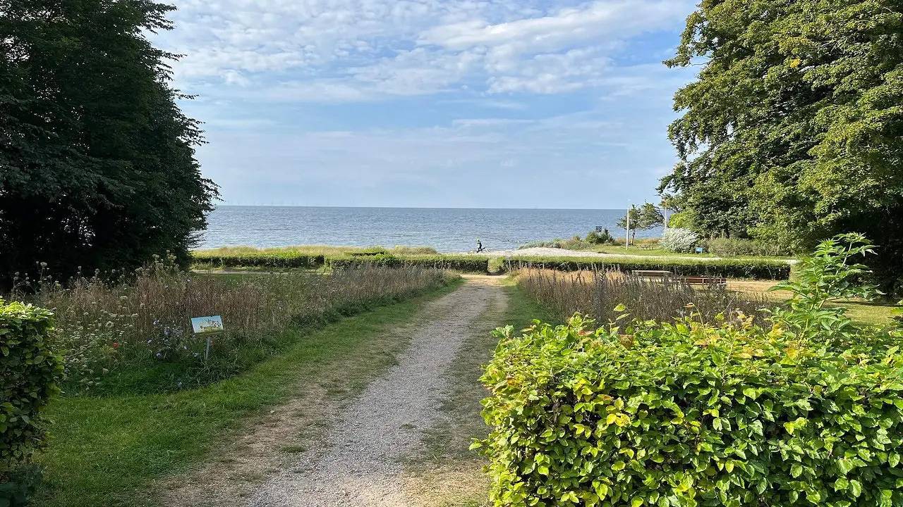 Ferienhaus für 8 Personen (115 m²) in Nysted in Nysted, Schwedische Ostsee