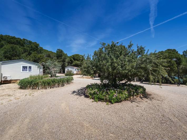 Mobile home for 5 people, with Balcony/Terrace and Terrace as well as Pool in Tarragona