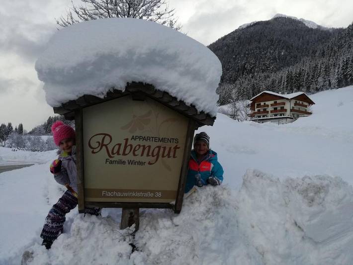Ferienwohnung für 4 Personen, mit Garten und Ausblick in Flachau - 3