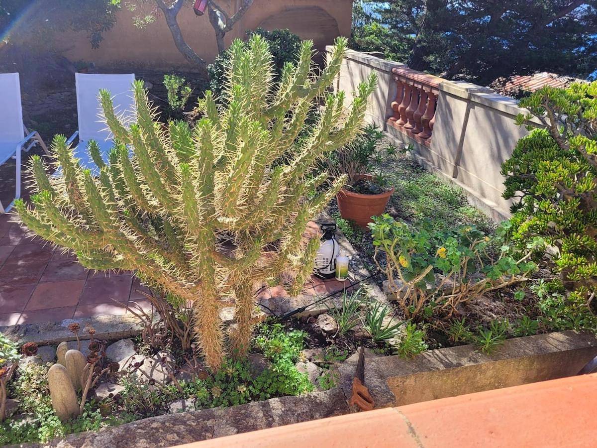 Two-Bedroom House in Hyeres, Parc national de Port-Cros