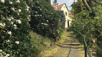 Ferienwohnung für 4 Personen in Königstein, Elbsandsteingebirge, Bild 1