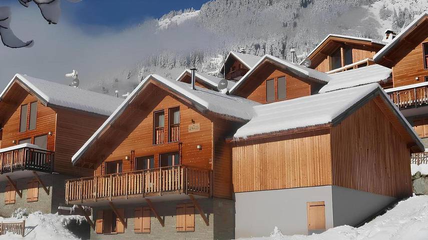 Chalet pour 14 personnes, avec jacuzzi ainsi que sauna et terrasse, animaux acceptés à Vaujany