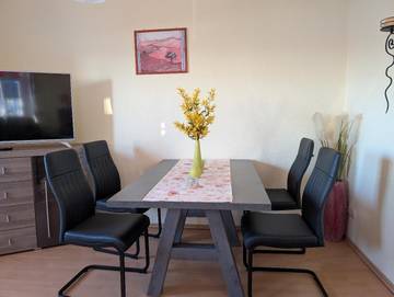 Holiday Letting for 5 People in Pieschen (Dresden), Dresden, Photo 4