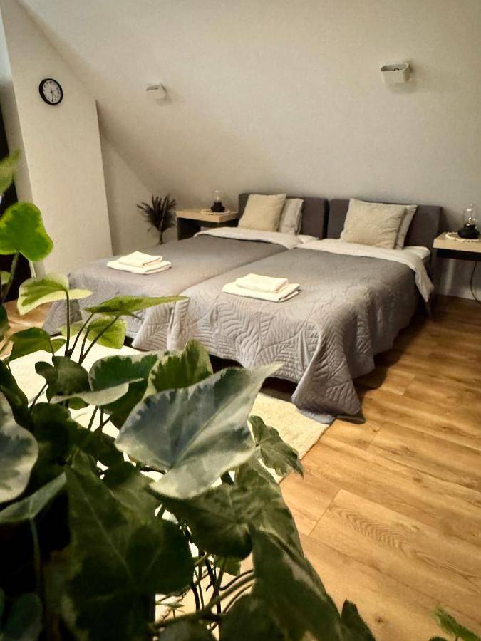 Apartament wakacyjny dla 2 osób, z widok, zwierzęta dozwolone w Szczawno-Zdrój