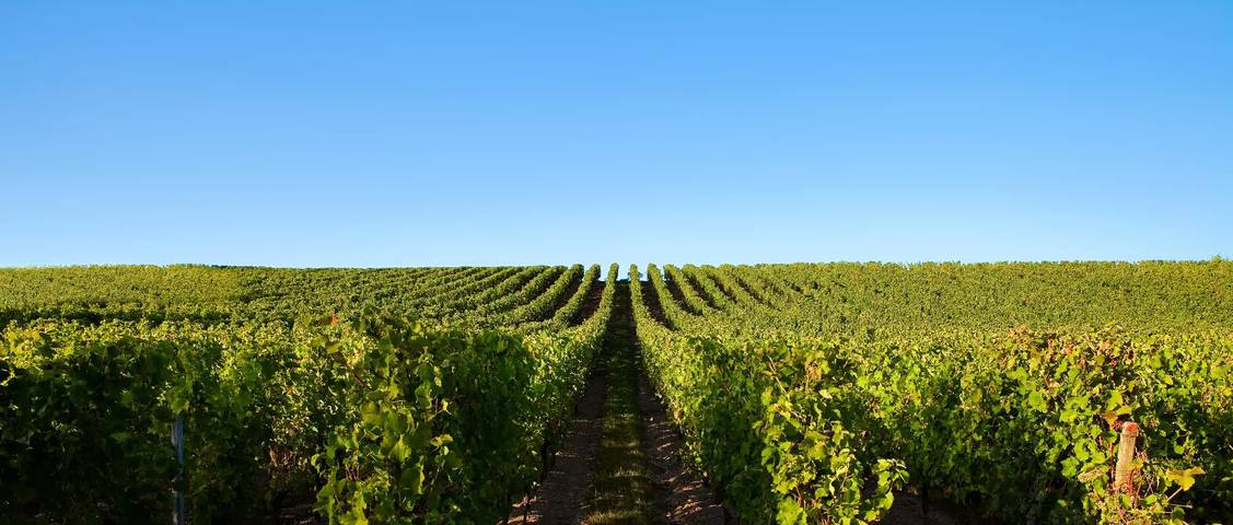 Camping für 2 Personen, mit Terrasse und Pool, mit Haustier in Rhone-Alpes - 3