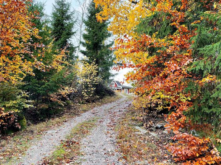 13 Personen Ferienhaus in Kyrkhult in Olofströms und Umgebung