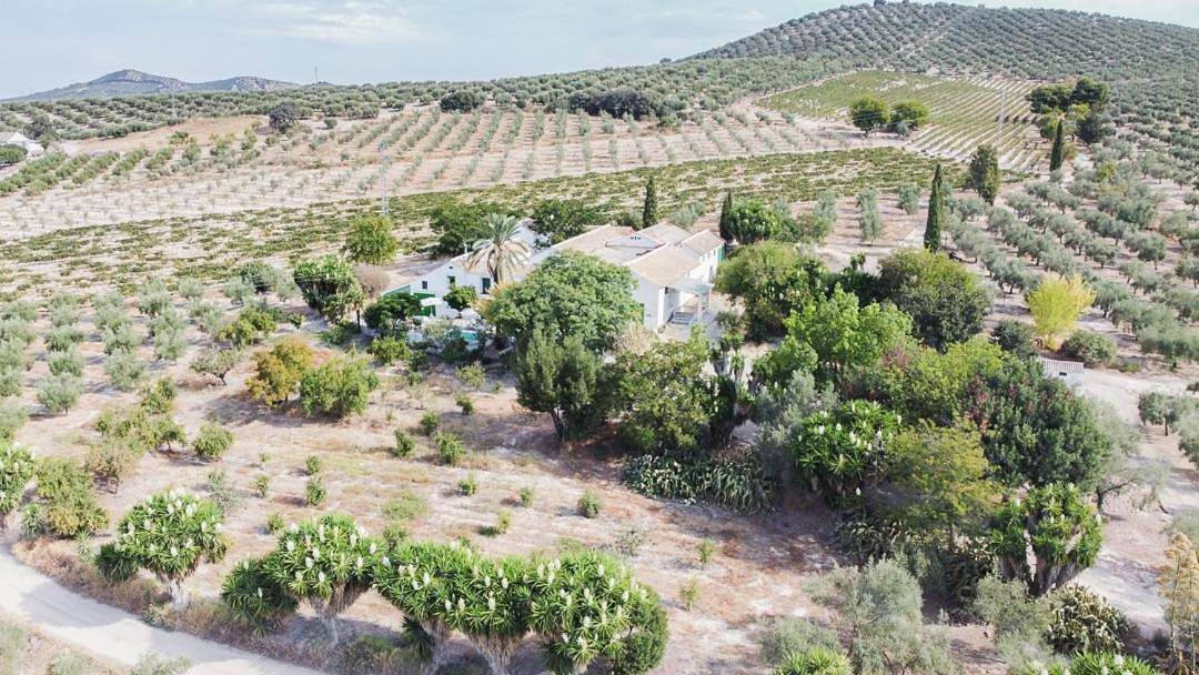 Five-Bedroom House in Cabra, Sierras Subbéticas