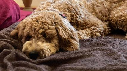 Ferienhaus für 3 Personen in Tanna, Ostthüringen, Bild 3