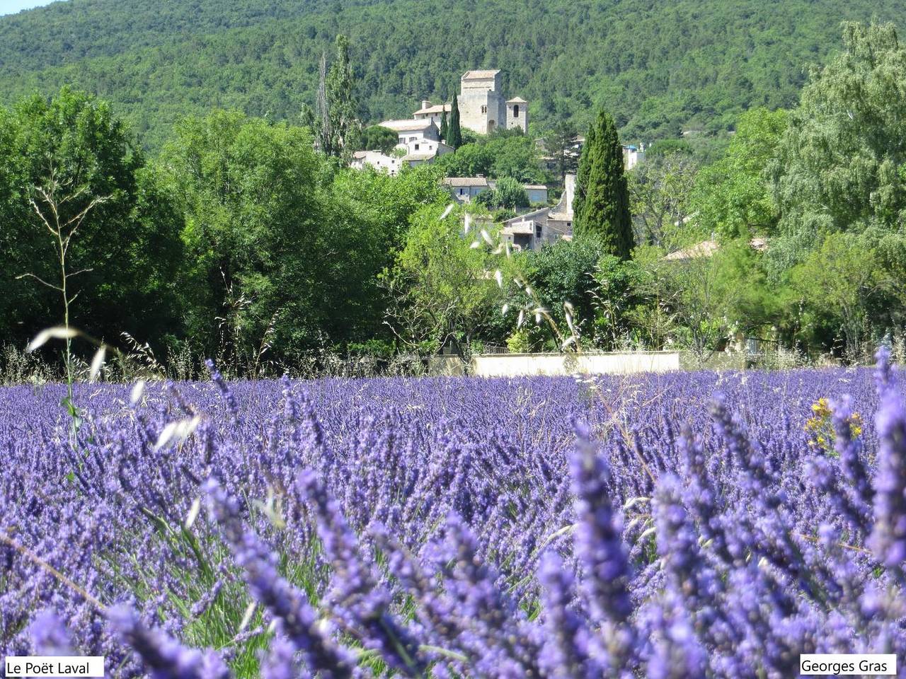 Casa vacanza a Drome a partire da 115€ a notte