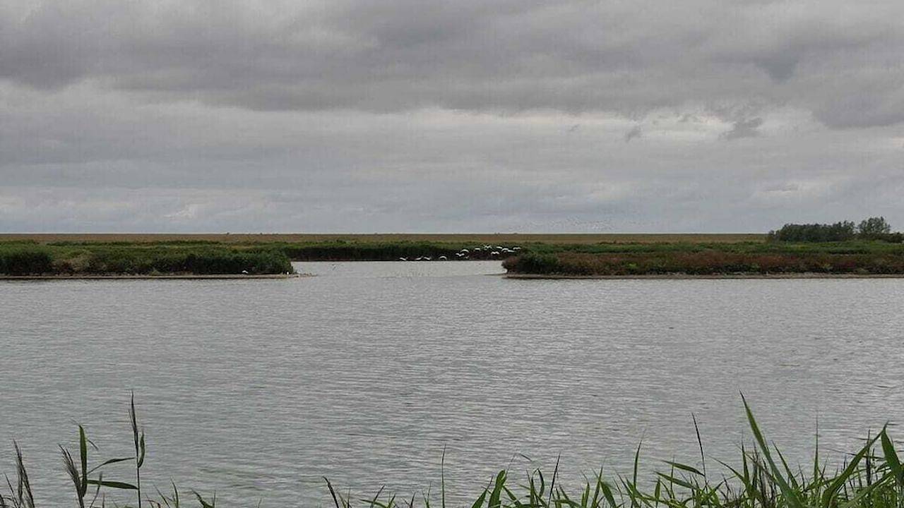 Ferienhaus für 3 Personen (110 m²) in Hobendeich in Stadland, Wesermarsch