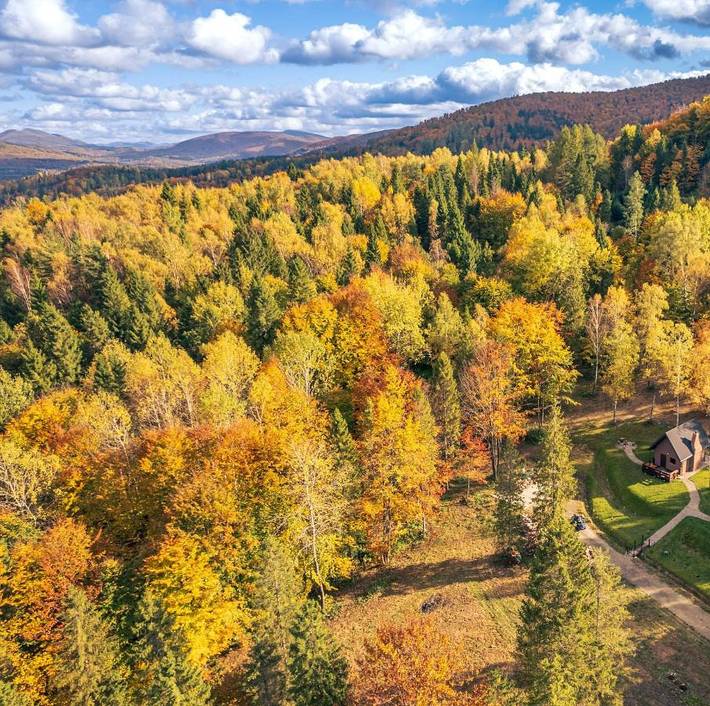 Apartament wakacyjny dla 4 osób, z ogród i widok, zwierzęta dozwolone w Bieszczady