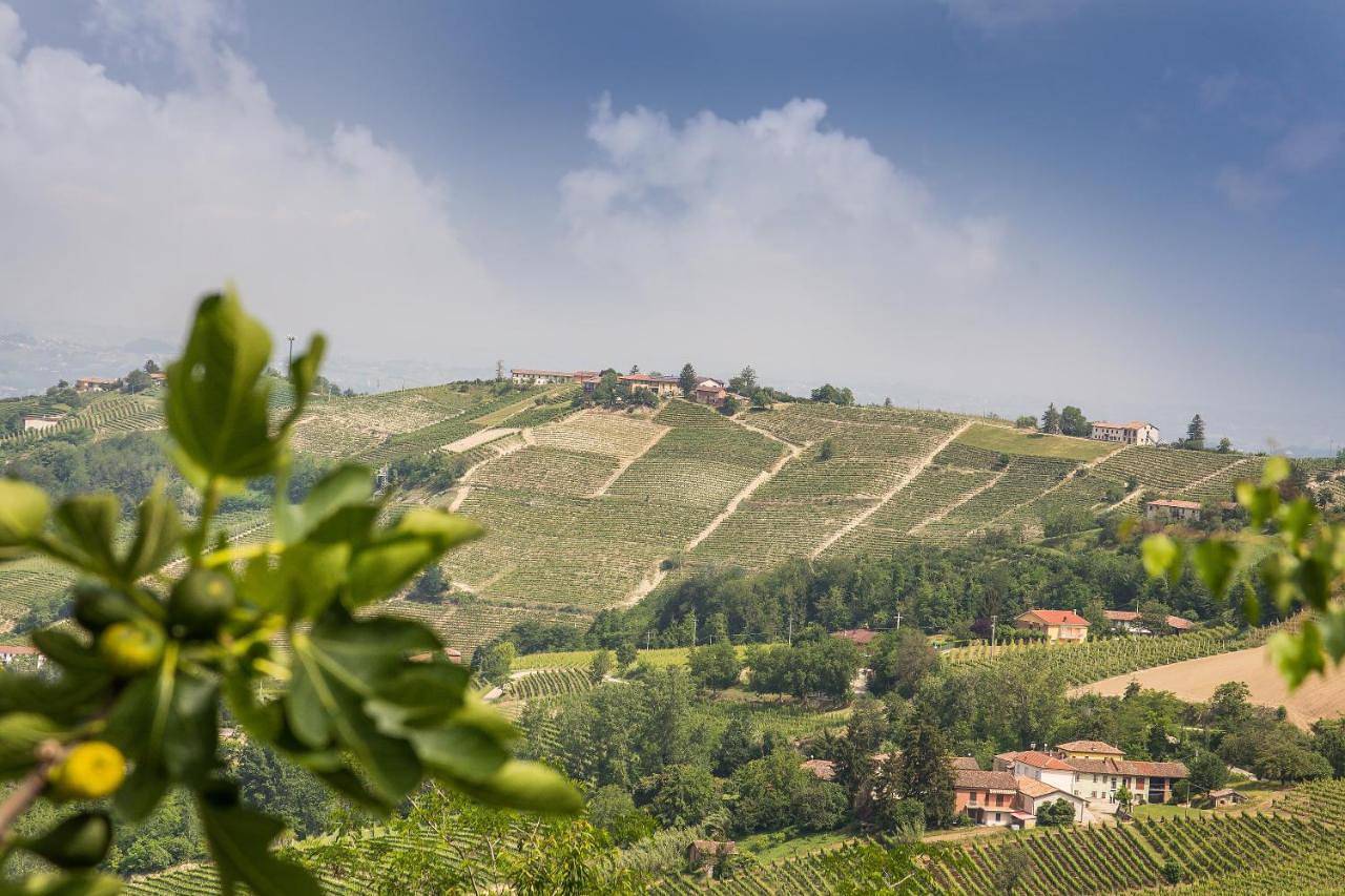 B&B Miellò nelle Langhe in Mango , Langhe