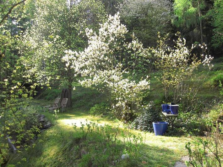 Ganze Ferienwohnung, Ferienwohnungen Blätterrausch - Waldglück in Schwandorf, Ostbayern