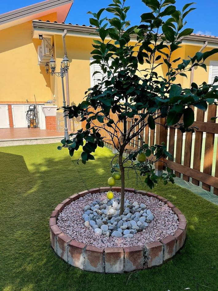 Gîte pour 6 personnes, avec balcon ainsi que vue et jardin dans Marina di Camerota - 2