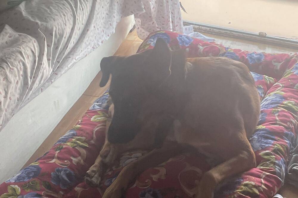 Chalet en el corazón de Madrid in Madrid, Provincia de Madrid