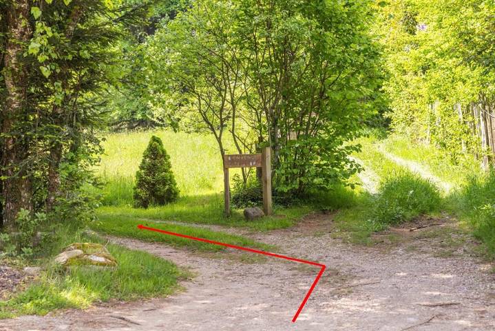 Location de vacances pour 6 personnes, avec jardin et vue dans Lac Noir - 4