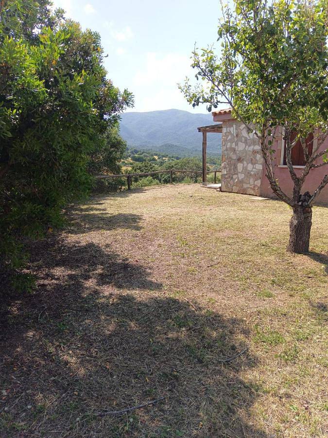 Maison de campagne pour 2 personnes, avec jardin et vue, animaux acceptés à Castiadas - 2