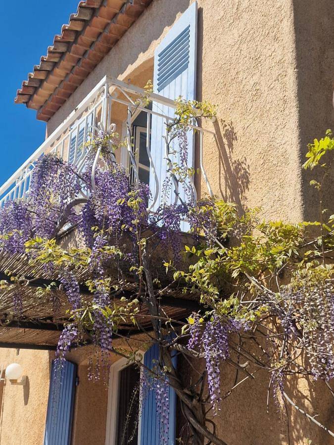 Villa pour 6 personnes, avec jardin et jacuzzi dans Anthéor - 3