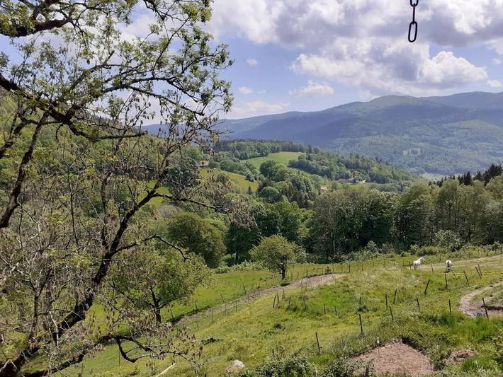 Location de vacances pour 2 personnes, avec vue à Metzeral - 4