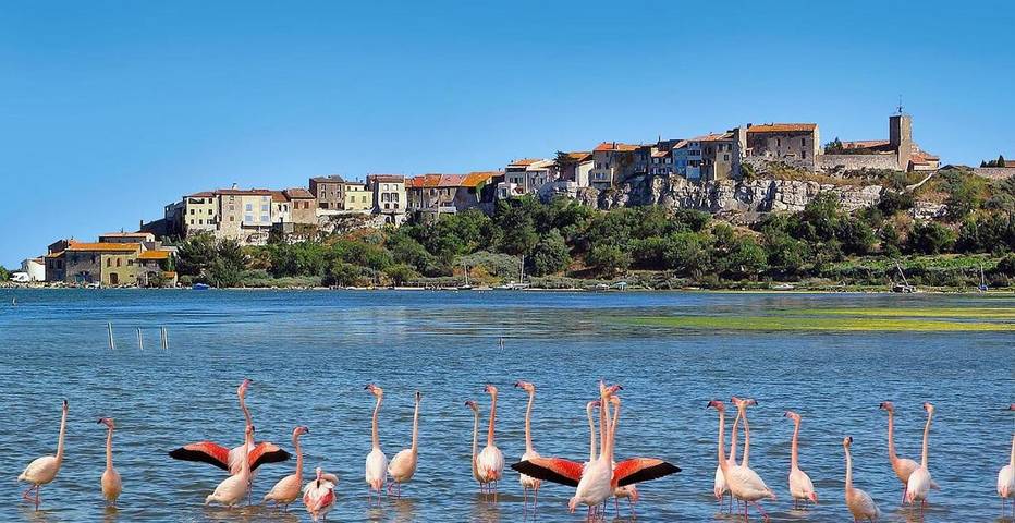 Cama y desayuno para 4 personas, con Jacuzzi y Terraza además de Jardín y Piscina en Bages (Aude)
