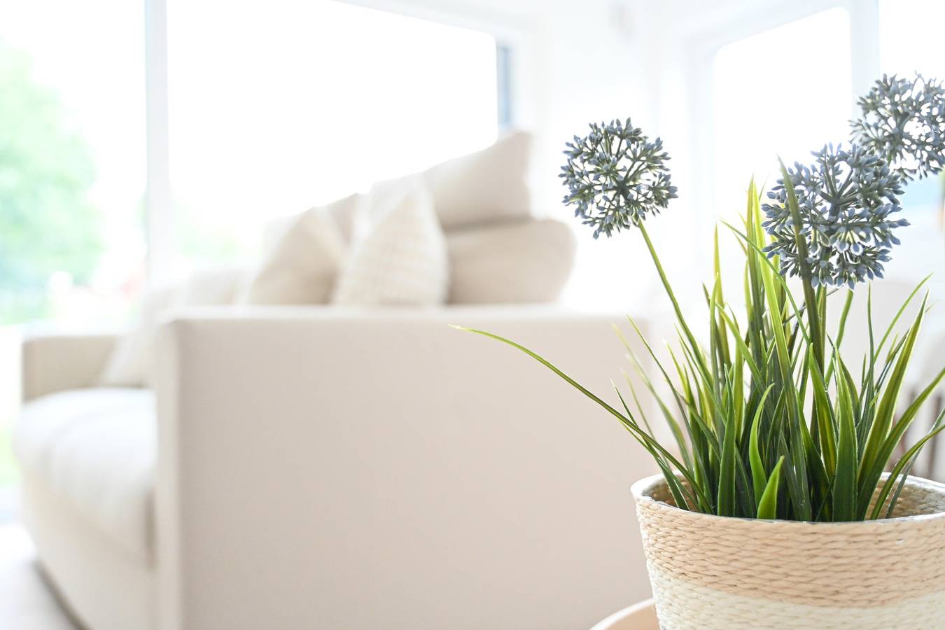 Ganze Wohnung, Ferienwohnung 'Studio 20 Ostfriesland' mit Privatterrasse, Wi-Fi und Klimaanlage in Wittmund, Nordseeküste