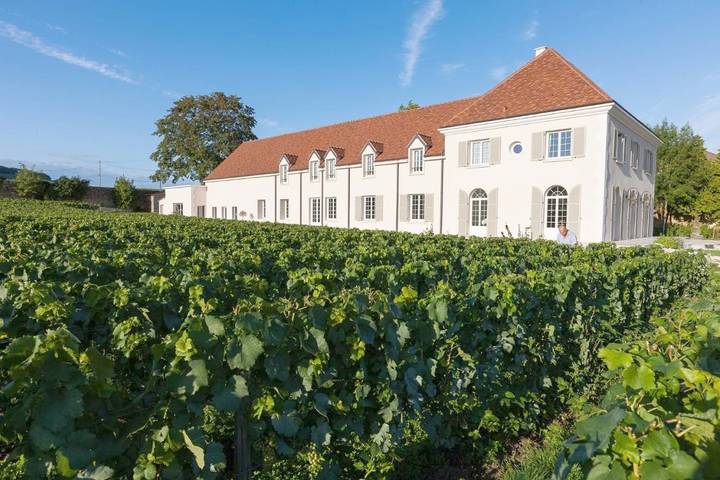 Maison d’hôte pour 13 personnes, avec Terrasse ainsi que Jardin et Vue à Vertus