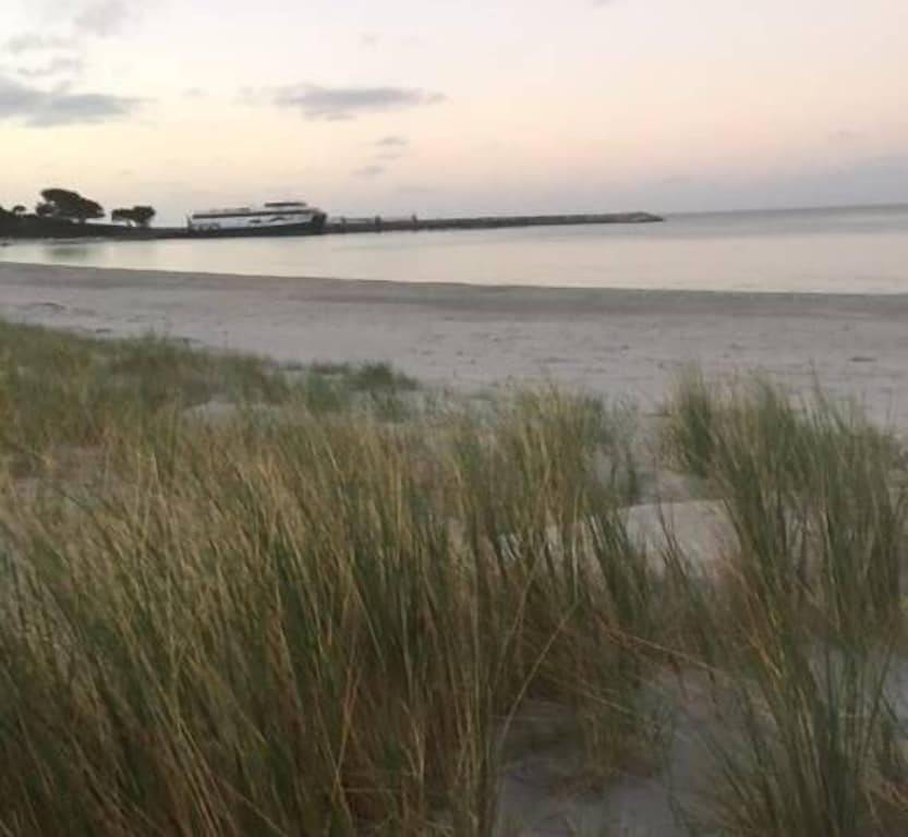 Cape View Cottage - direkt am Strand in Penneshaw, Känguru-Insel