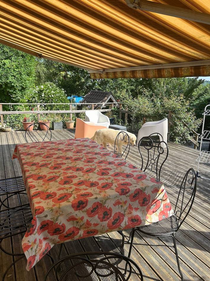 Ferienhaus für 6 Personen, mit Garten und Sauna in Nouvelle-Aquitaine - 3