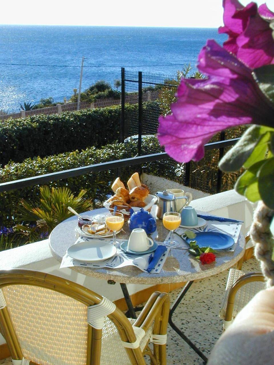 Cap Riviera in Fréjus, Côte méditerranéenne (France)