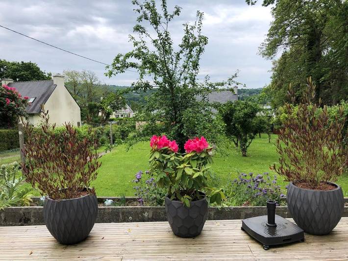 Chambre d’hôte pour 2 personnes, avec vue et jardin à Guipavas - 4