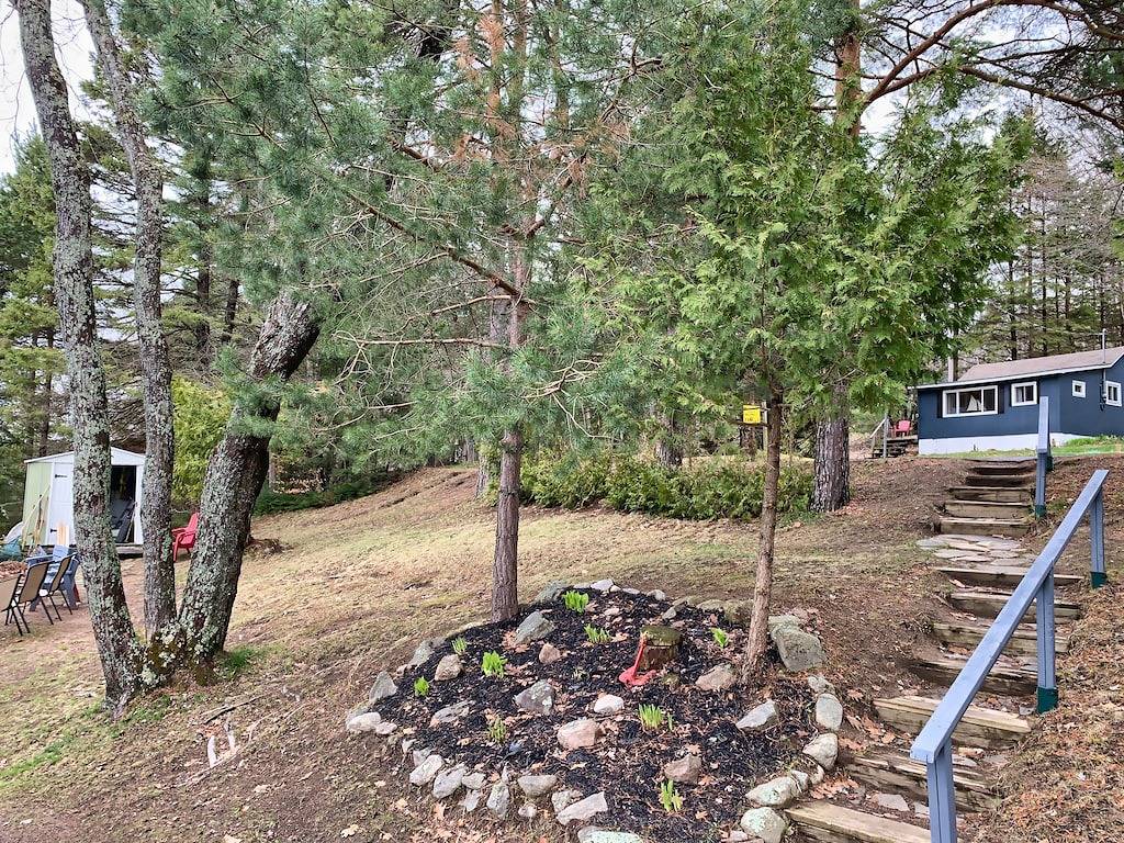 2 Waterfront Cottages on same property for 1 price in Algonquin Provincial Park