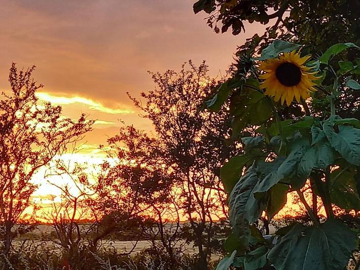 Ferienwohnung für 5 Personen, mit Garten, kinderfreundlich in Højer - 3