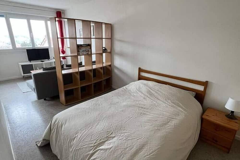 Entire apartment, Charming T1 near the thermal baths in Royat, Volcans d'Auvergne Regional Nature Park