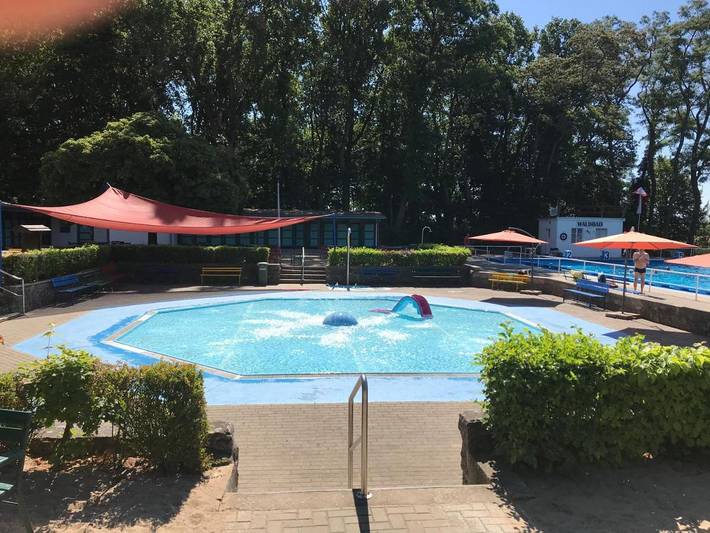 Maison d’hôte pour 2 personnes, avec piscine et vue ainsi que jardin et bassin pour enfant, animaux acceptés dans Saxe-Anhalt - 3