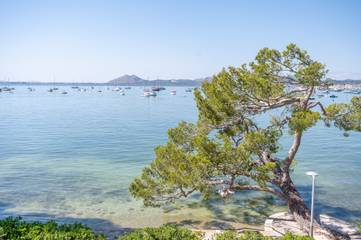 Apartment in Pollença, Serra de Tramuntana für 6 
