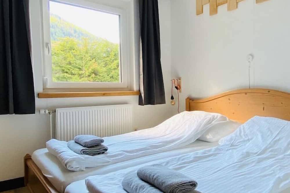 Ganze Wohnung, Apartment mit Bergblick | super Schi und Wander gebiet | nahe Bad Gastein in Mallnitz, Lieser-Maltatal