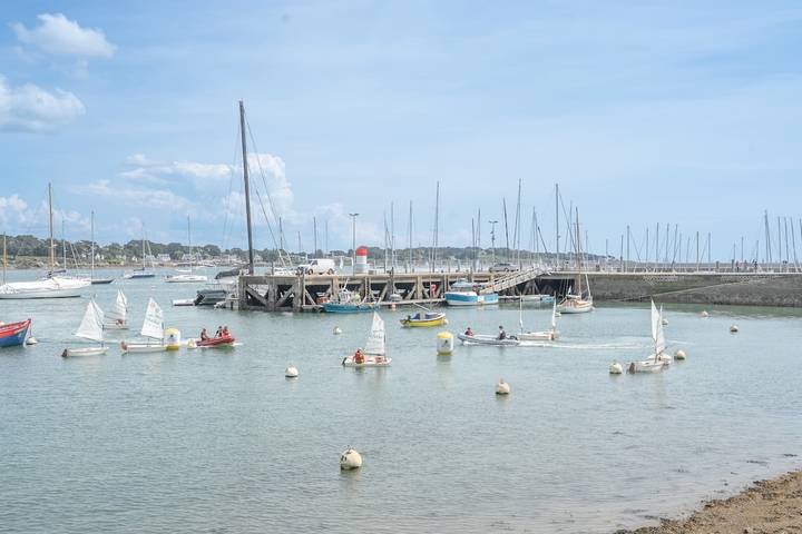 Appartement entier, La Perle du Port : Vue Panoramique et Terrasse in La Trinité-sur-Mer, Côte des Mégalithes