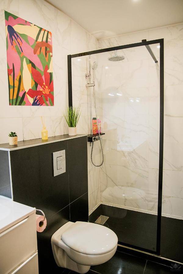 Chambre d’hôte pour 2 personnes, avec vue et terrasse à Carcassonne - 3