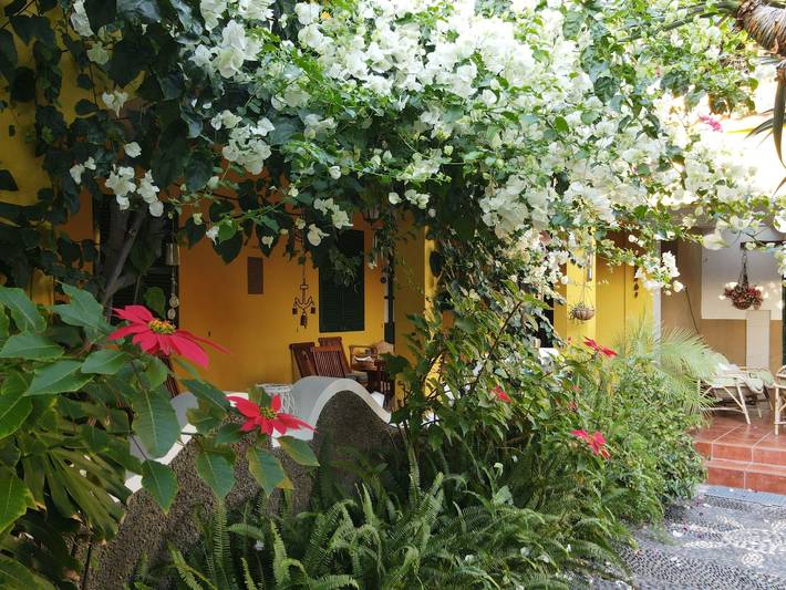 Ferienhaus für 5 Personen, mit Garten, mit Haustier auf Porto Santo - 3