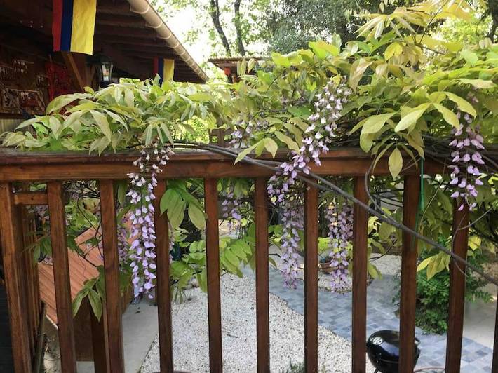 Location de vacances pour 5 personnes, avec jardin ainsi que balcon et piscine à Gaujac - 3