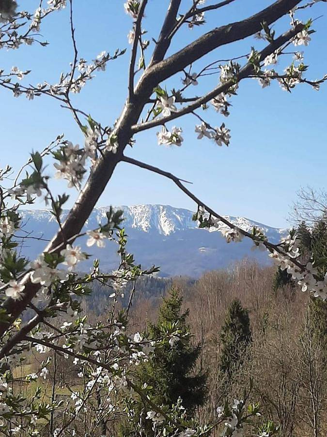 Chałupa z widokiem w górach in Zawoja, Karpaty (Polska)