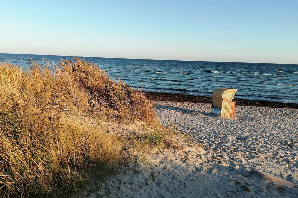 Reetdachhaus mit Garten, beste Lage, Meerblick, Strandnähe, Familienfreundlich. in Großenbrode, Ostholstein