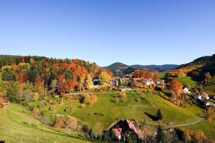 Chambre d’hôte pour 3 personnes, avec sauna et jardin à Bad Peterstal-Griesbach
