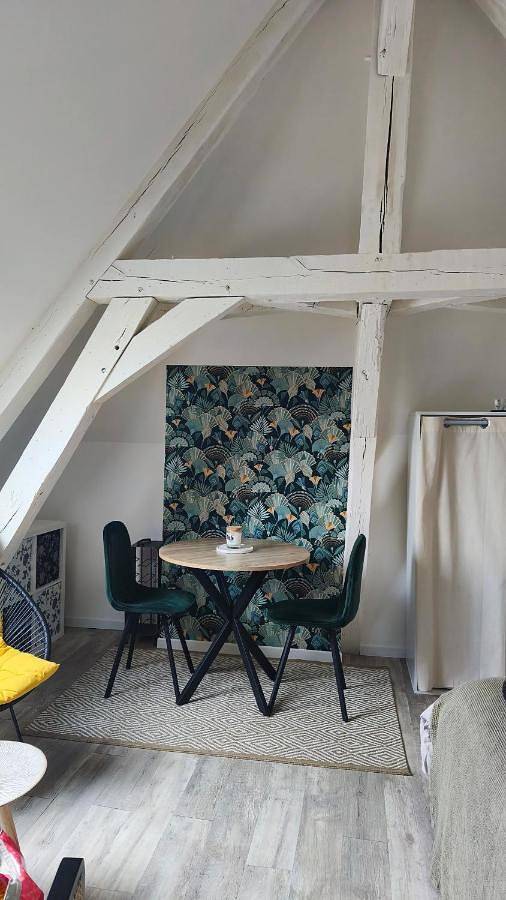 Gîte pour 2 personnes, avec vue, animaux acceptés à Nogent-le-Rotrou - 3