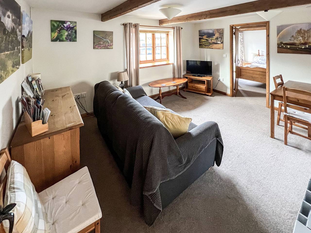 Dragonfly 3 in North Petherton, Somerset