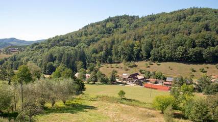 Ferienwohnung für 4 Personen in Gengenbach, Mittlerer Schwarzwald, Bild 2