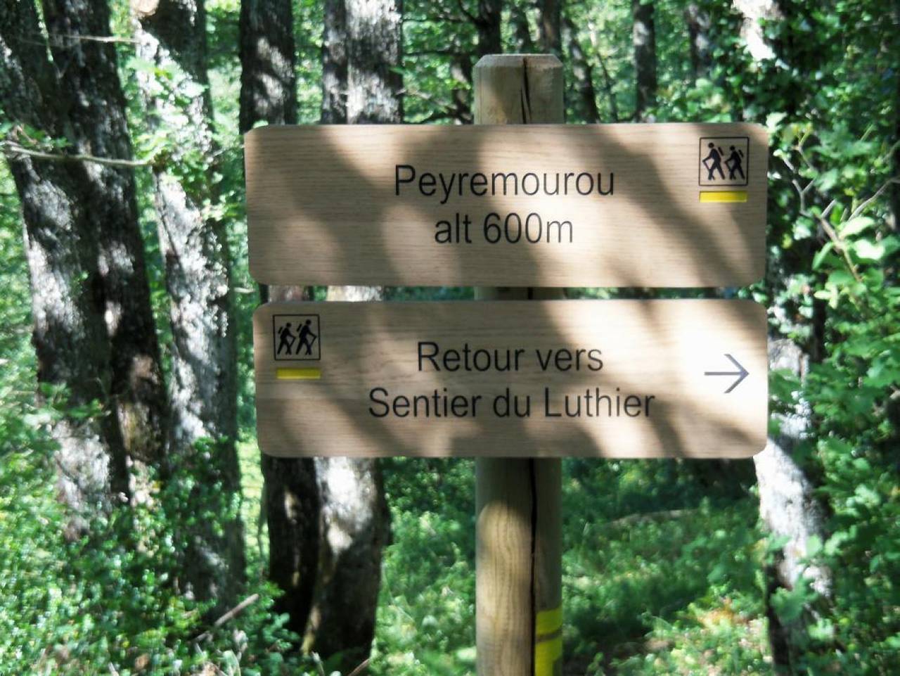 Lamy in Ferrières (Fontrieu), Fontrieu